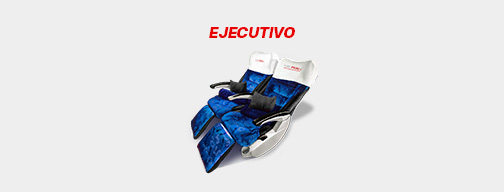 Asiento del servicio Ejecutivo de Top Perú